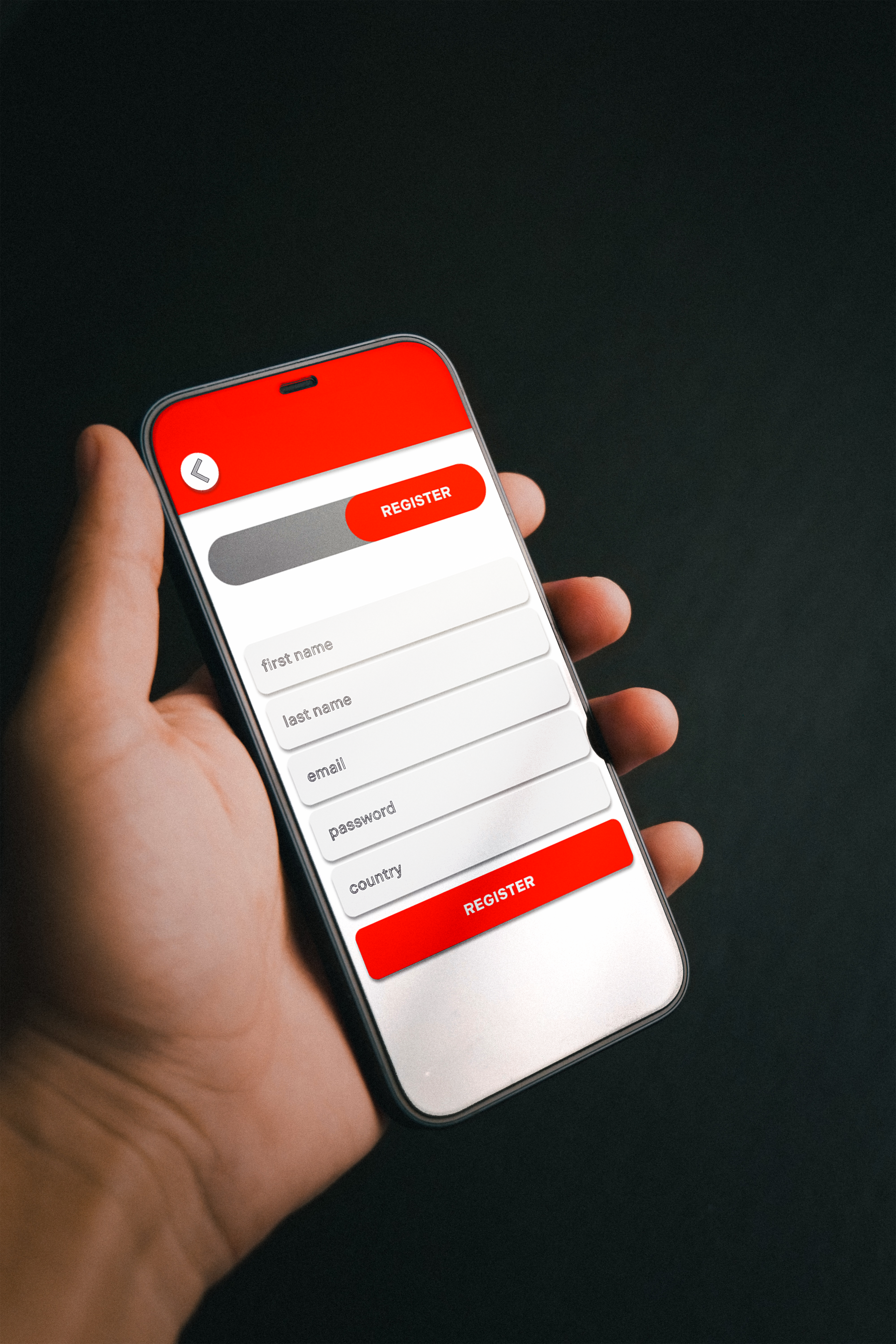 Mockup of Finsider application registration screen.